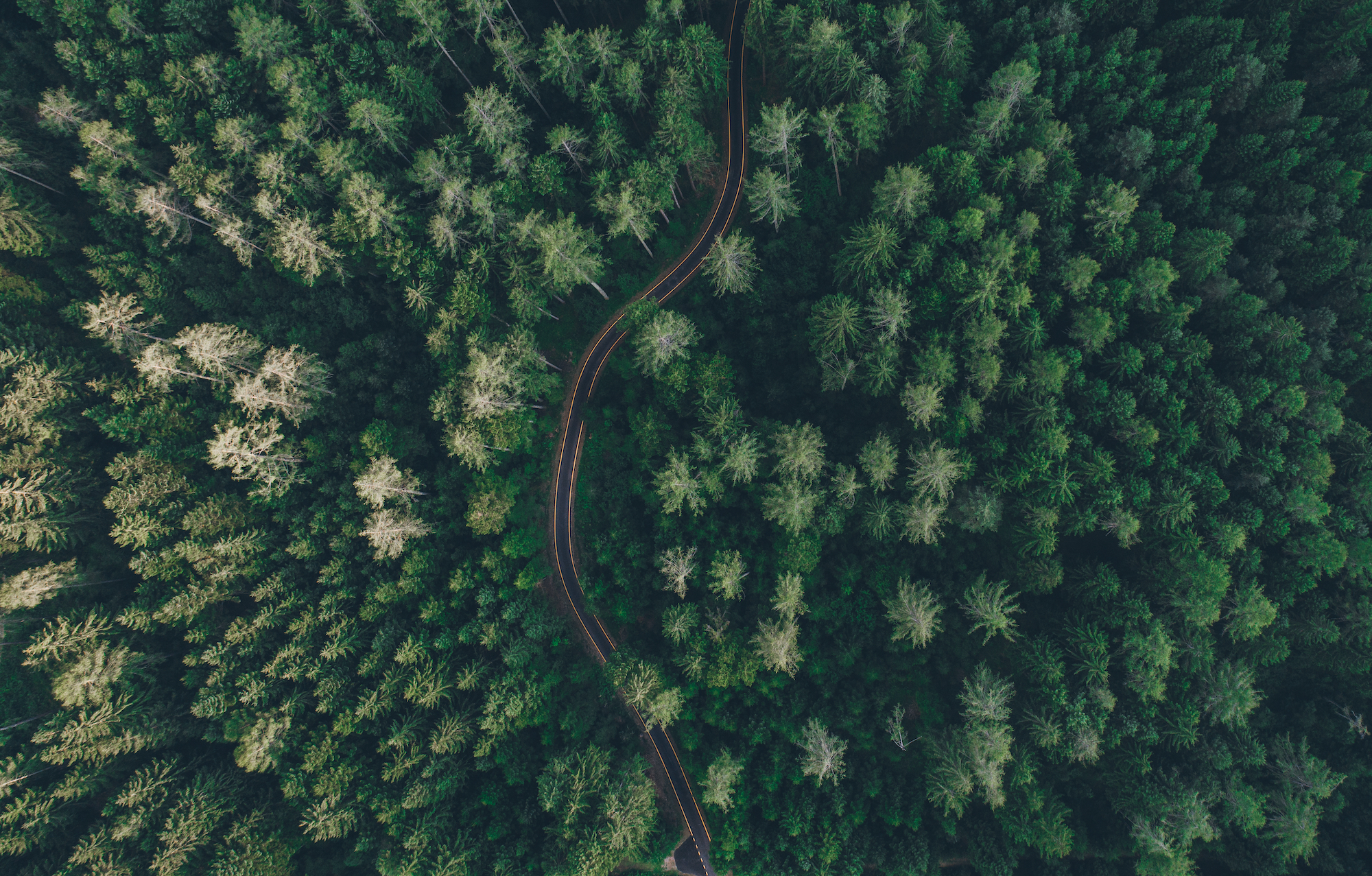 Aerial,View,Of,A,Road,In,The,Middle,Of,The